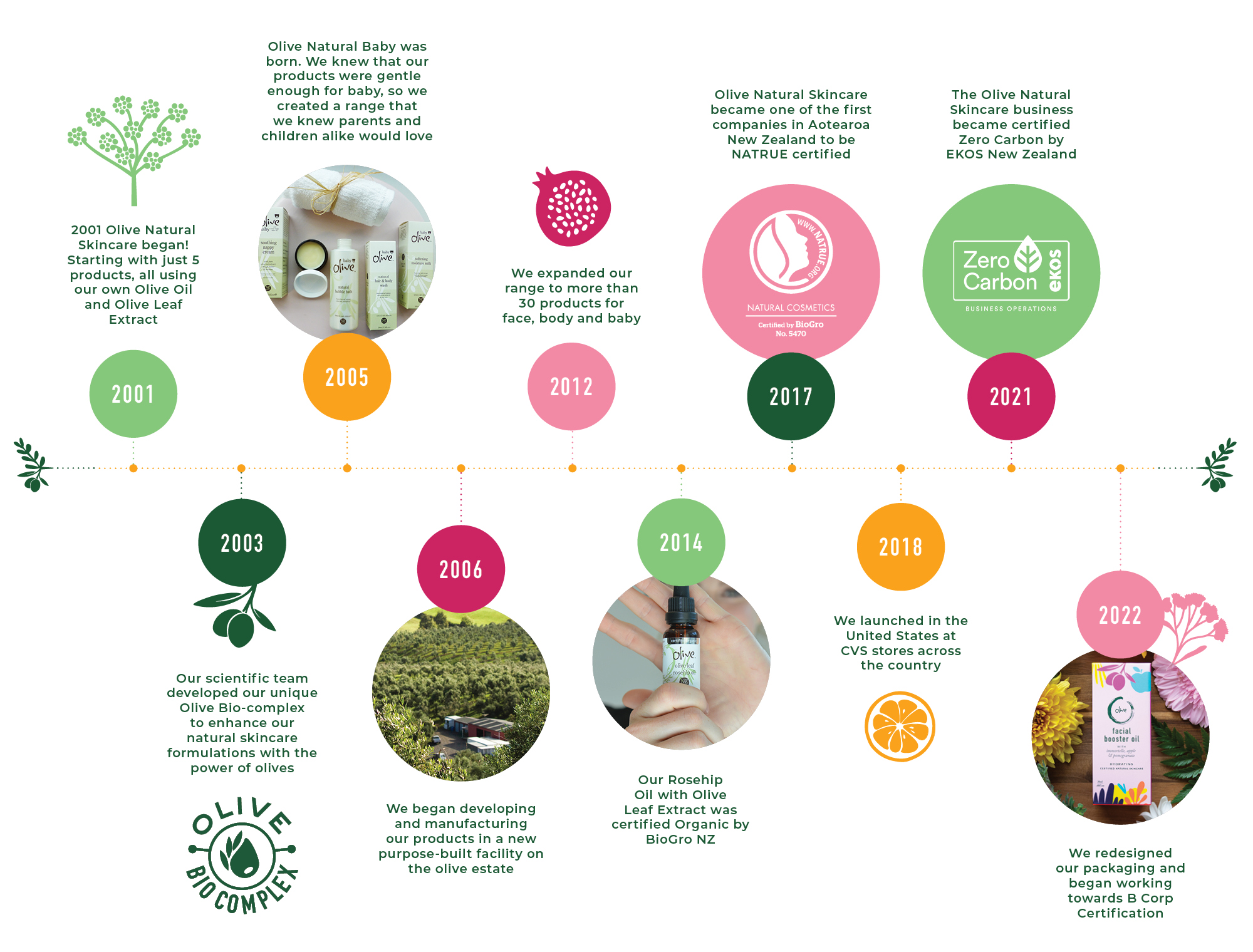 Olive Natural Skincare Timeline